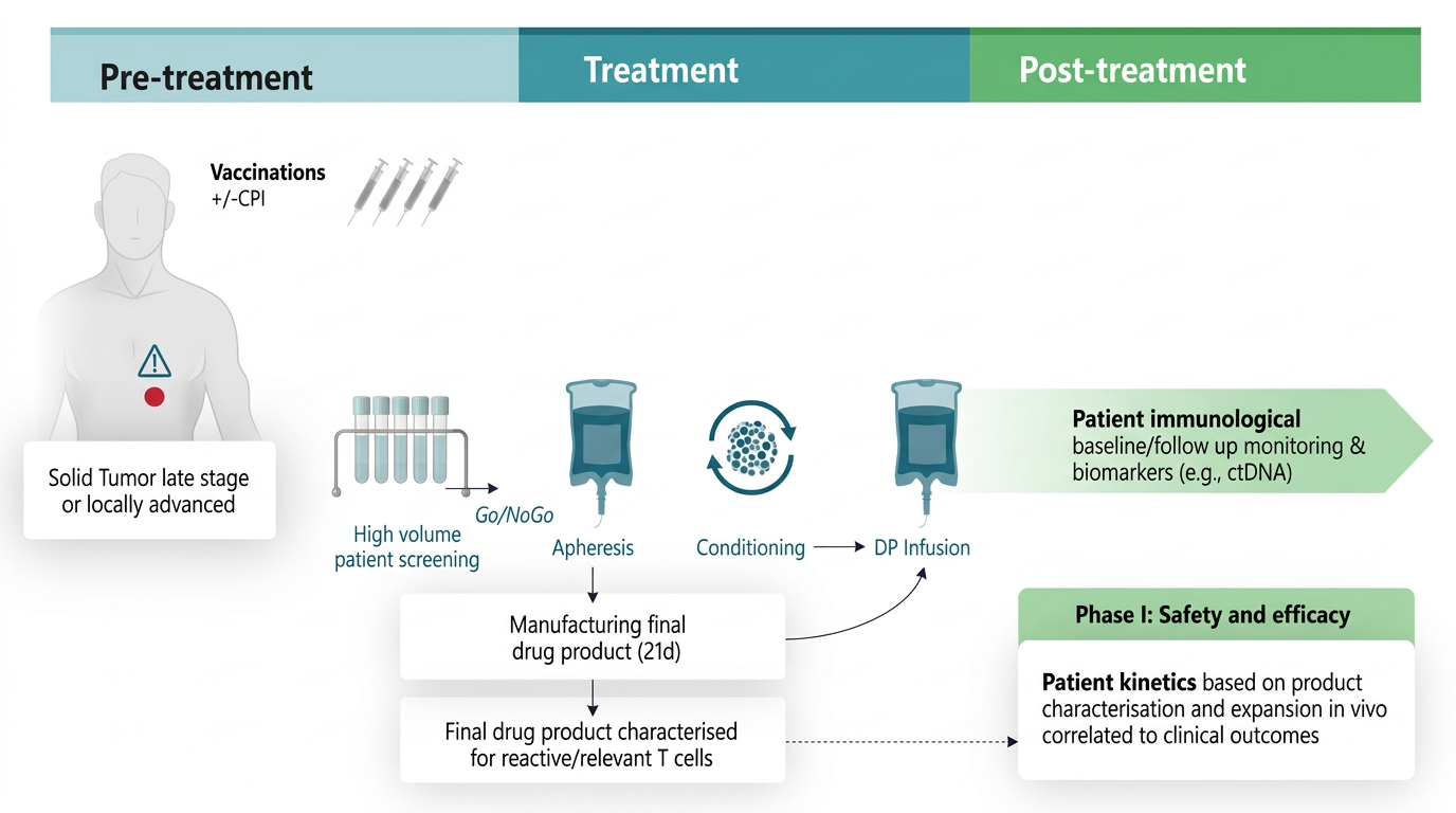 Clinical trial process: Pre-treatment vaccinations, screening, apheresis, conditioning, DP infusion, and post-treatment monitoring
